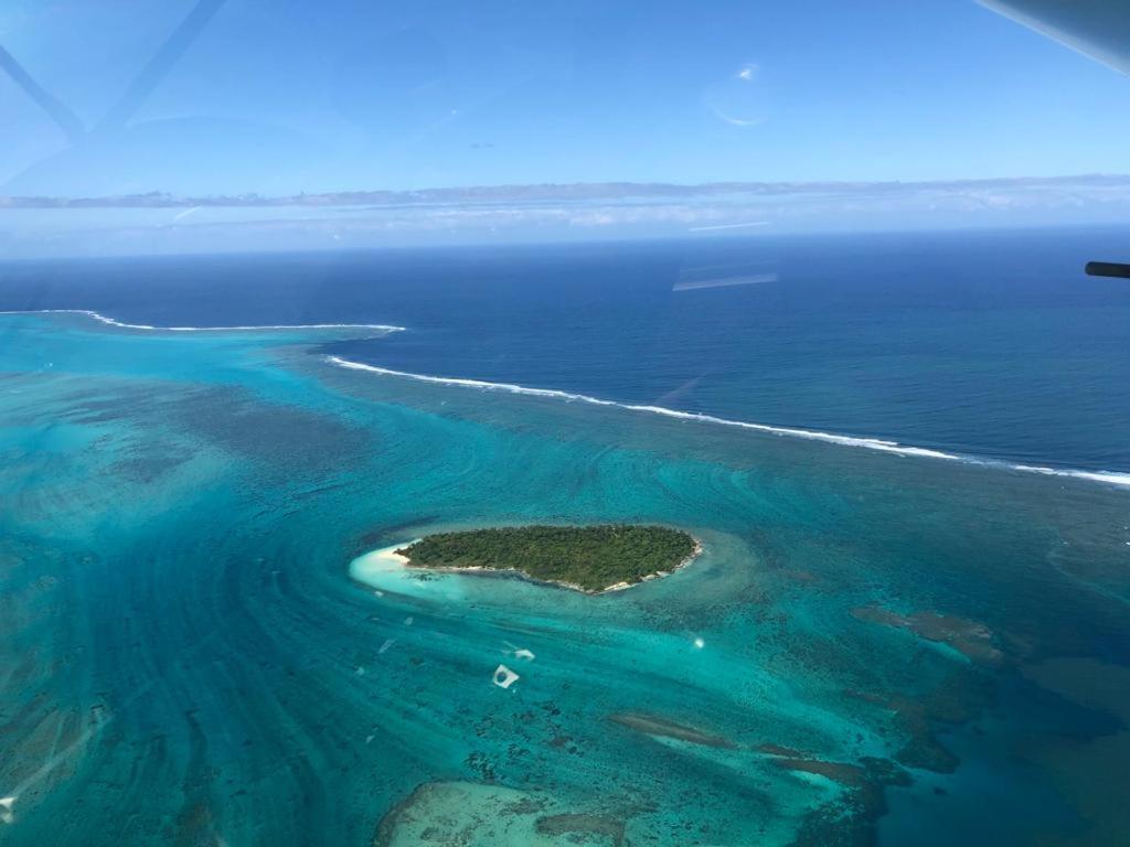 Niaouli Lodge بوريل المظهر الخارجي الصورة