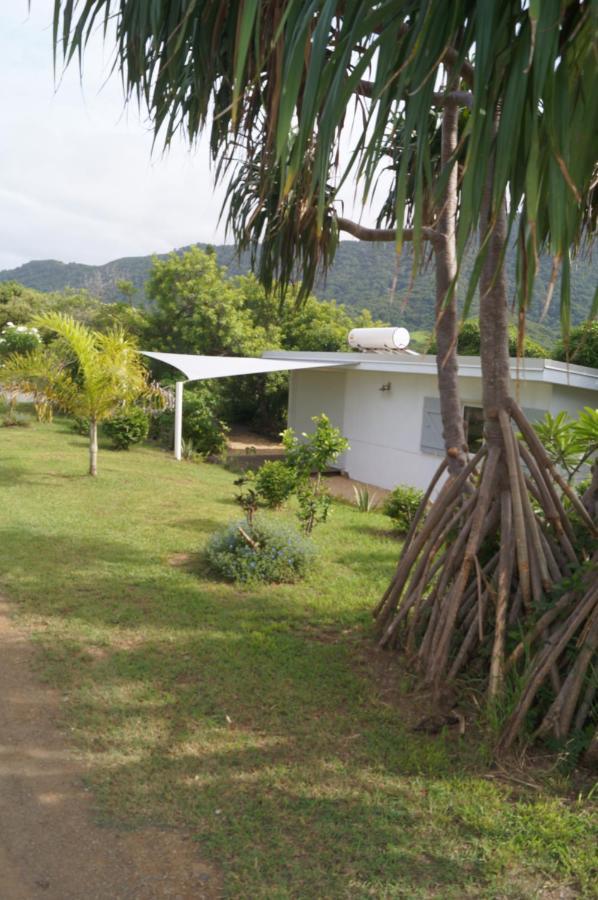Niaouli Lodge بوريل المظهر الخارجي الصورة